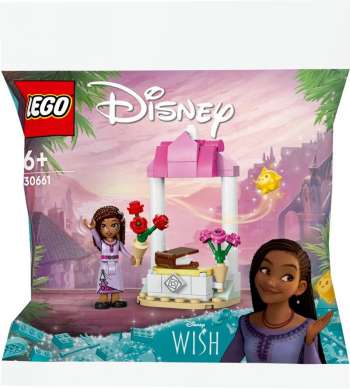 LEGO Disney Princess Asha